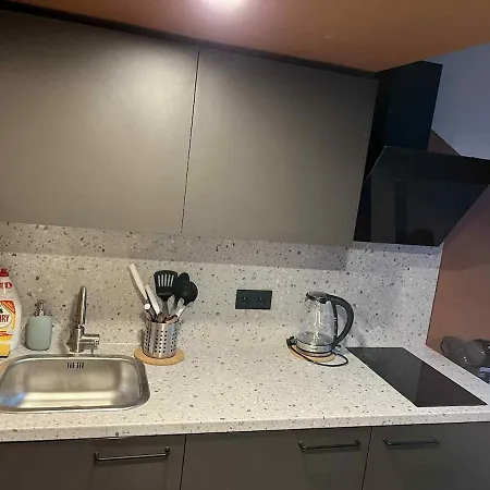 Vytenio Loft - Serenity And Style In Centre 23 公寓