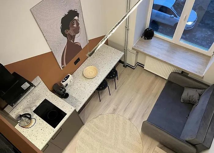 公寓 Vytenio Loft - Serenity And Style In Centre 23 维尔纽斯